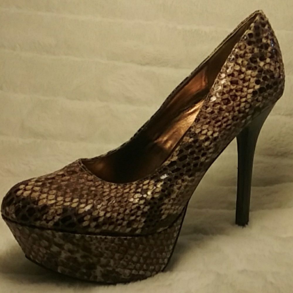 Carlos 6.5 platform
